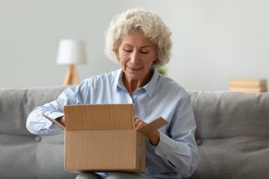 Mutlu yaşlı kadın internetten paket alışverişi yapıyor.
