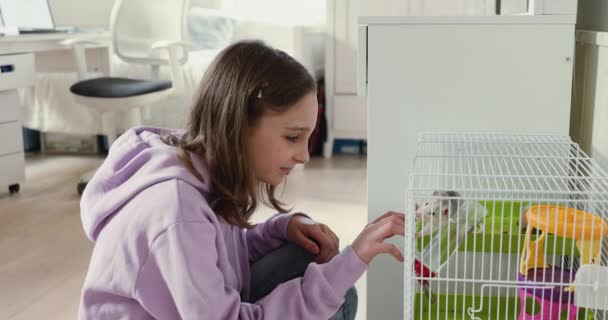 Schattig tiener meisje spelen met rat huisdier thuis — Stockvideo