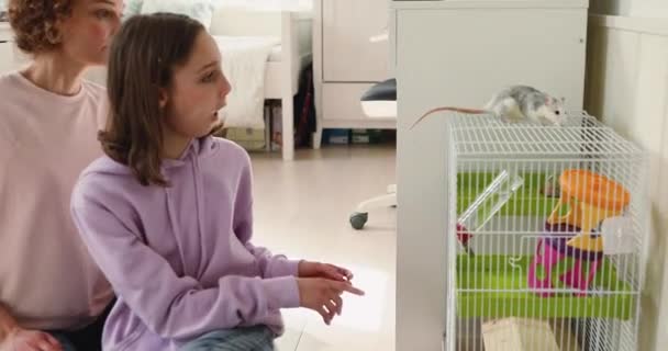 Возбужденная девочка-подросток и мама играют с маленьким крысиным питомцем — стоковое видео