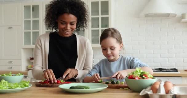 Happy smíšené-závod maminka a dcera vaření při pohledu na kameru — Stock video