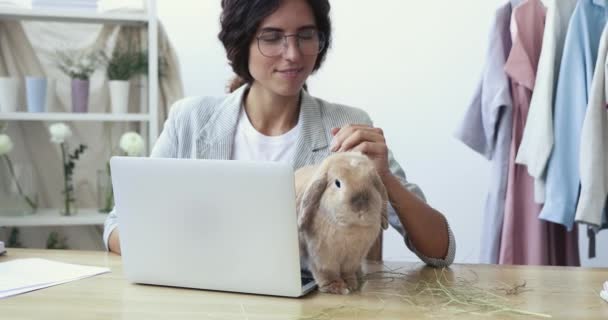 Gelukkig vrouwelijke ontwerper strelen schattig grappig konijn huisdier op de werkplek — Stockvideo