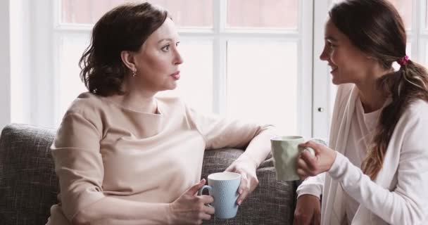 Feliz 50 de mediana edad madre disfrutando de la conversación con la hija adulta . — Vídeos de Stock