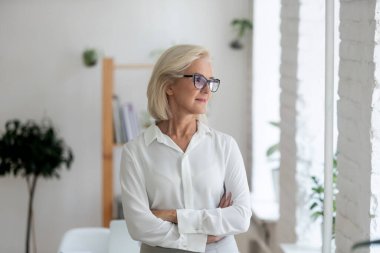 Düşünceli orta yaşlı iş kadını mesafeli düşünüyor.