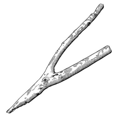 Driftwood el çizilmiş tasarım elemanı