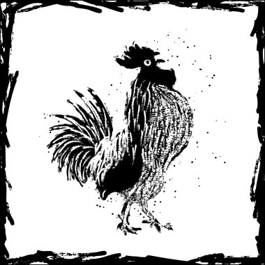 Elle çizilmiş horoz kroki