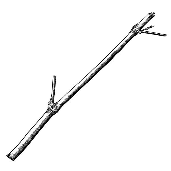 Нарисованный вручную элемент дизайна
