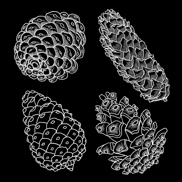 Ensemble de cônes de pin dessinés à la main — Image vectorielle