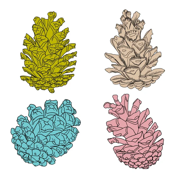 Conjunto de cones de pinheiro desenhados à mão — Vetor de Stock