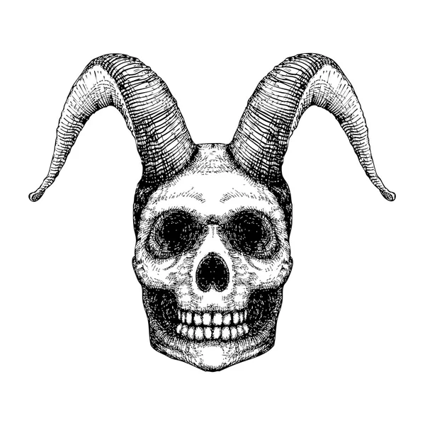 Fantastic horned human skull. Demon, shaman, fairy tale ...