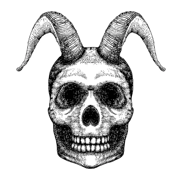 Human skull with goat horns — Stock Vector