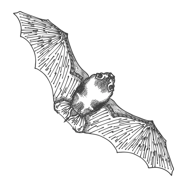 Стилизованный ручной рисунок летучей мыши — стоковый вектор