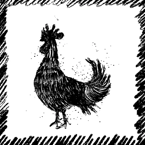 Diseño vintage con gallo — Foto de Stock