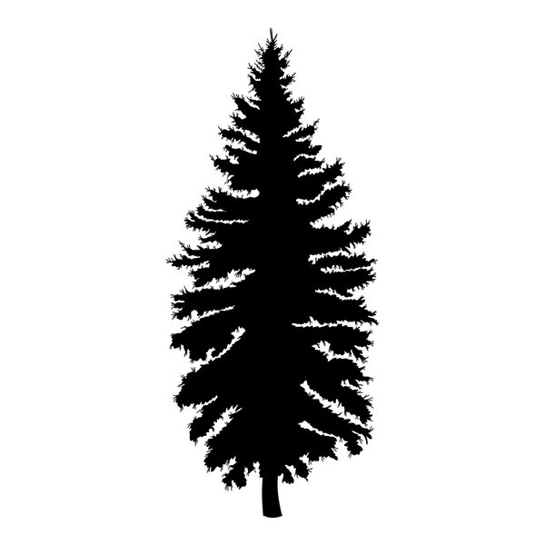 Pine tree silhouette