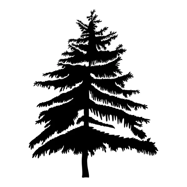 El çizilmiş köknar ağacı silueti — Stok fotoğraf