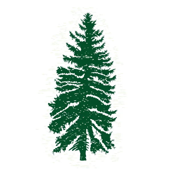 Hand drawn fir tree silhouette — Stock Photo, Image