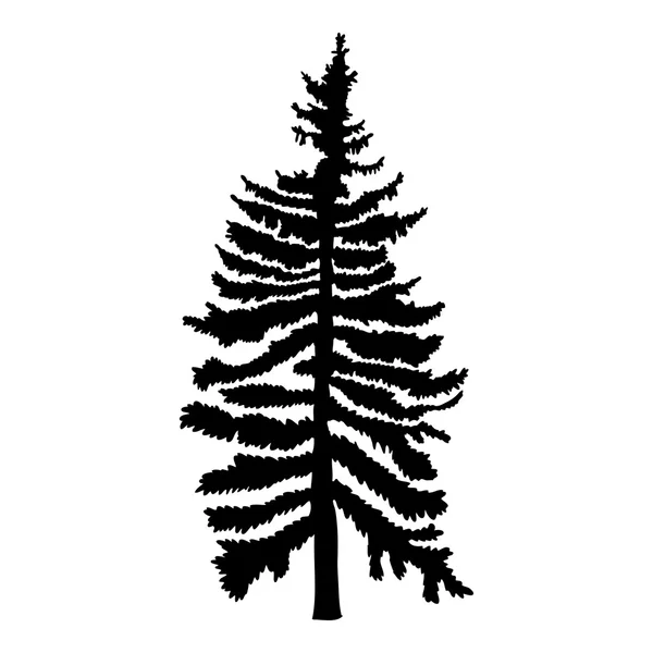 Hand drawn fir tree silhouette — Stock Image Hand drawn fir tree silhouette Stock Image