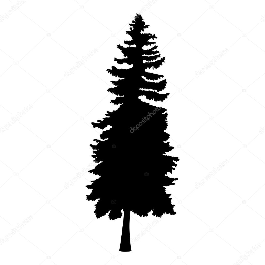 Hand drawn fir tree silhouette 