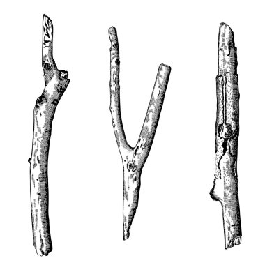 Elle çizilmiş dal dalları seti