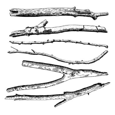 Elle çizilmiş dal dalları seti