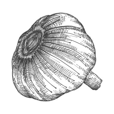 El çizim baş sarımsak