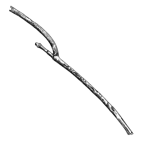 Ветка ручной работы
