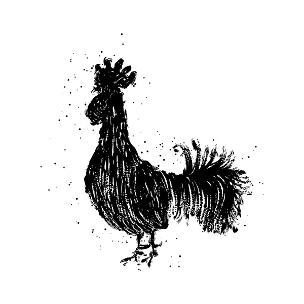 Gallo dibujado a mano — Vector de stock