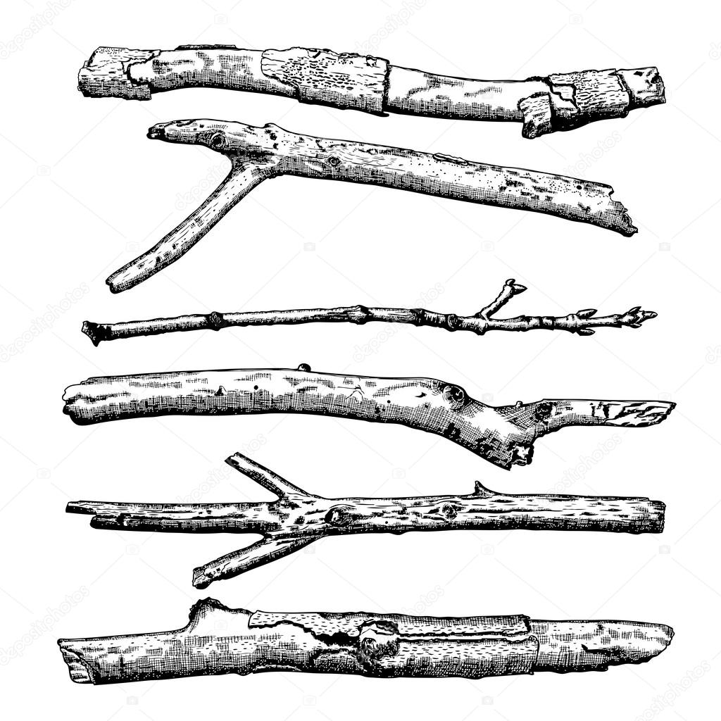 Hand drawn twig branches set
