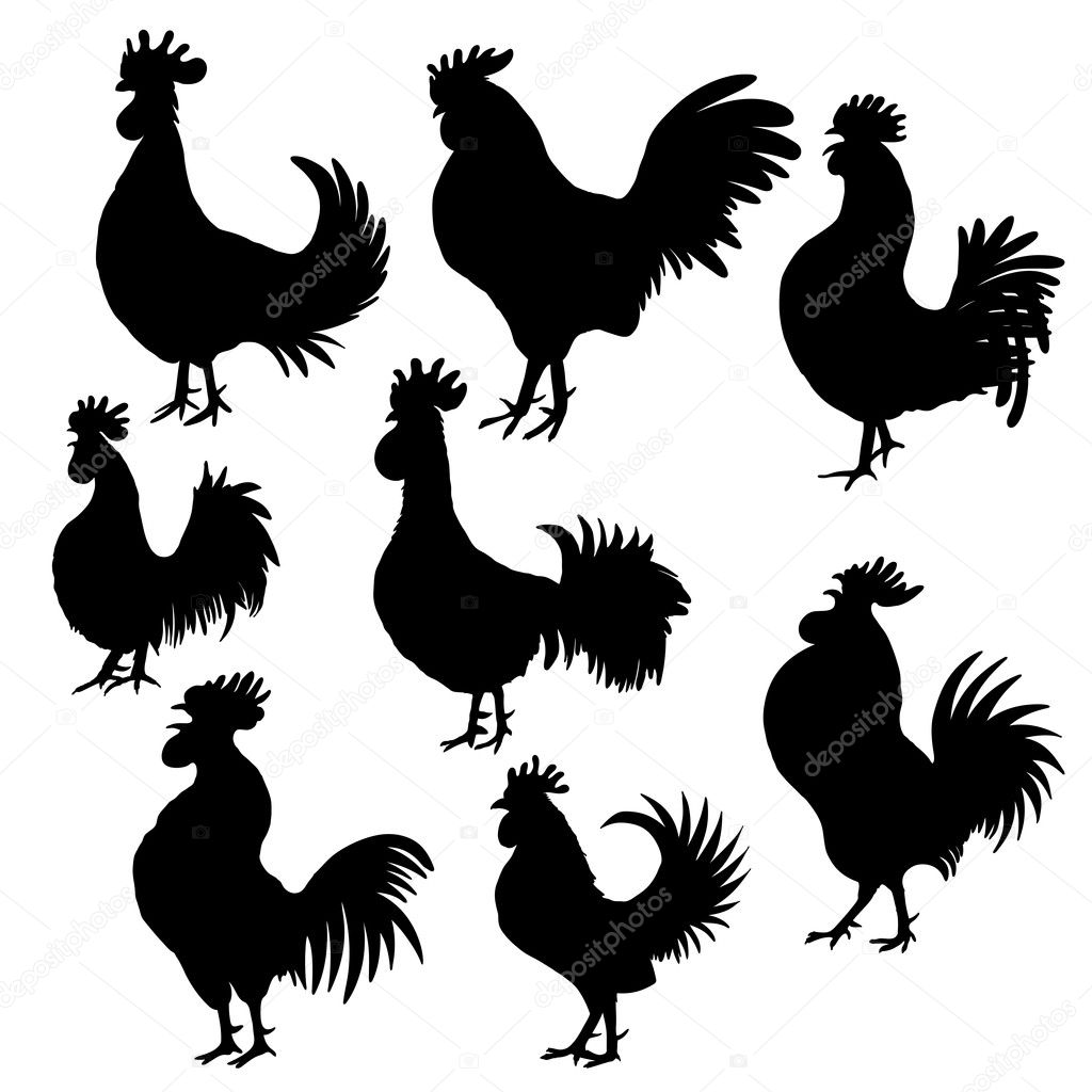 Set of rooster labels