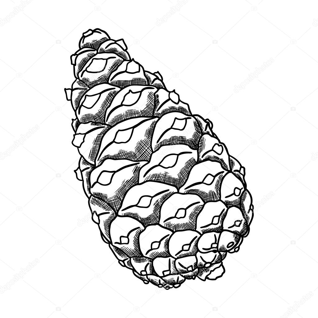 My Image 30