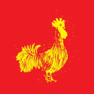 Elle çizilmiş horoz kroki