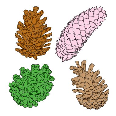 Çam koni skeçler kümesi 