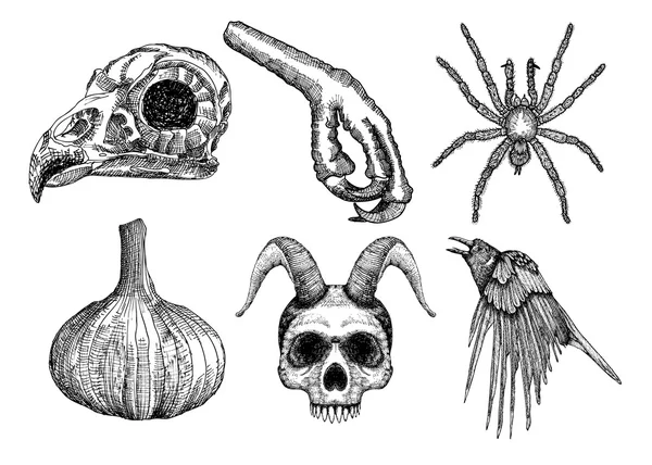 Witchcraft set for Halloween — Zdjęcie stockowe