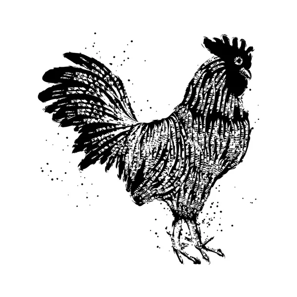 Handgezeichnete Hahnenskizze — Stockfoto