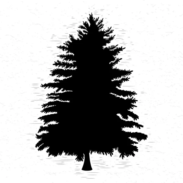 Pine tree silhouette Royalty Free Stock Images