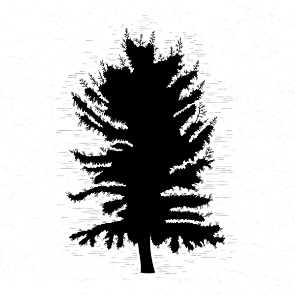 Pine tree silhouette — Stock Image Pine tree silhouette Stock Photo