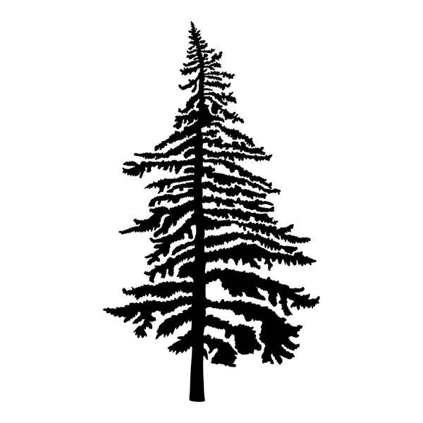 Pine tree silhouette Royalty Free Stock Images