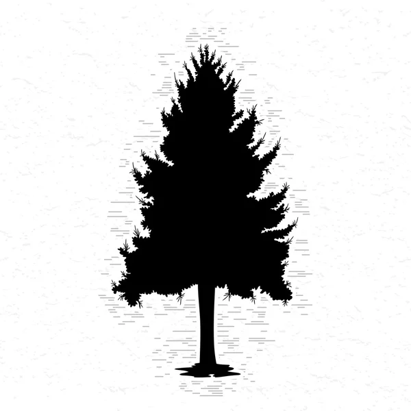 Silhouet van dennenbomen — Stockvector