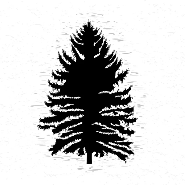 Silhouet van dennenbomen — Stockvector