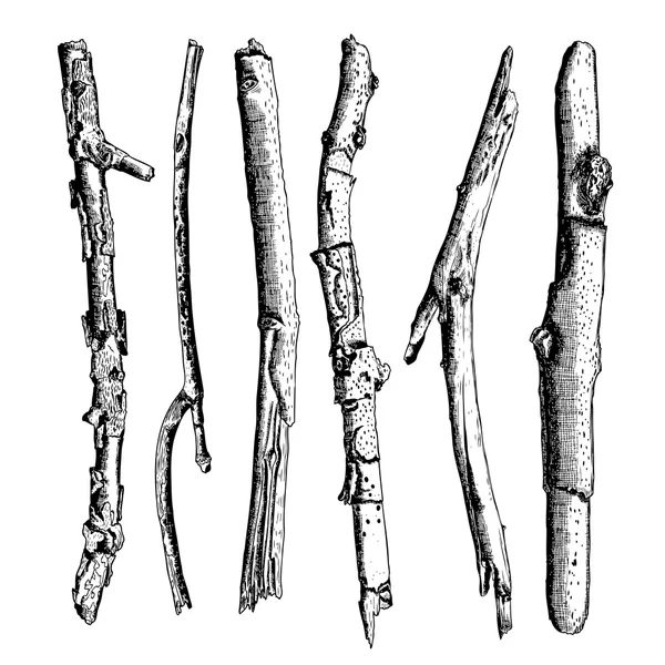 Conjunto de ramitas de madera bocetos — Vector de stock