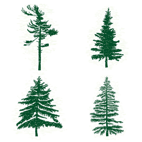Set of green pine trees