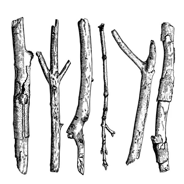 Set of wood twigs sketches — Stock Illustration Set of wood twigs sketches Stock Illustration
