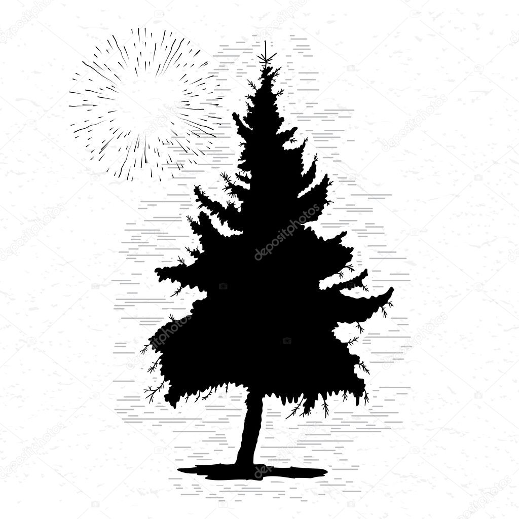 Pine tree silhouette 