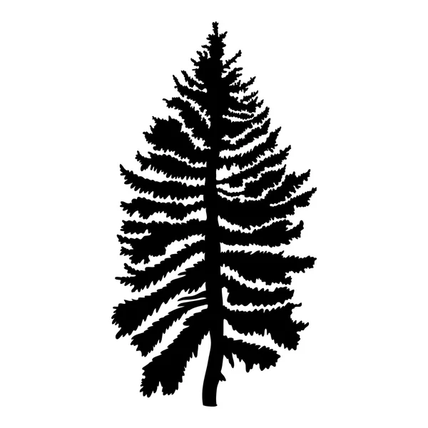 Hand getekende getextureerde fir tree — Stockfoto