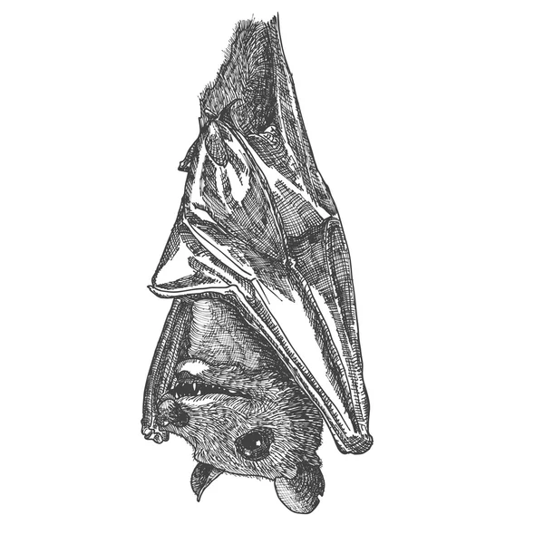 Στυλιζαρισμένη χέρι σχεδίασης νυχτερίδα — Φωτογραφία Αρχείου