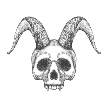 Boynuzları kroki ile Kafatası