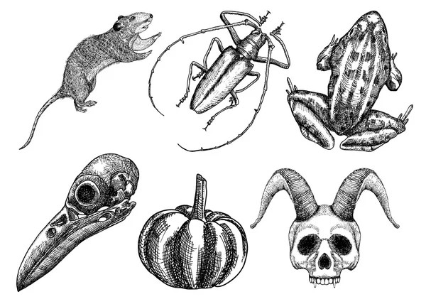 Набор эскизов на Хэллоуин — стоковый вектор