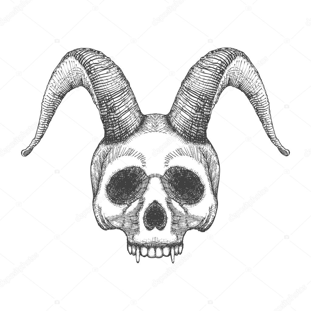 Skull with horns sketch