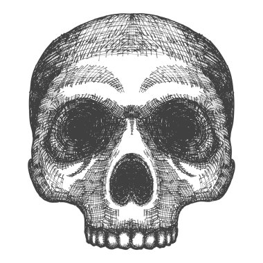 El çizim kafatası kroki