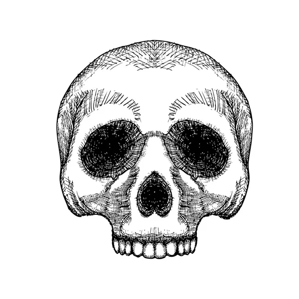 Ręcznie rysunek szkic czaszki — Zdjęcie stockowe