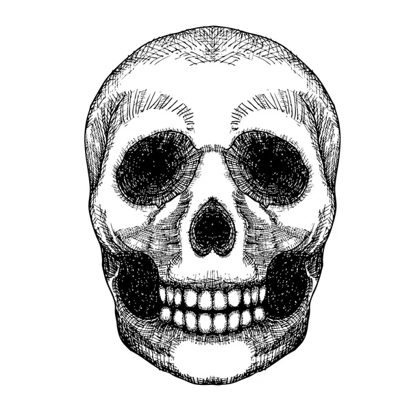 Dibujo a mano sketch cráneo — Archivo Imágenes Vectoriales